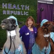 Dawn Bonder, President and CEO of Health Republic, and therapy llamas.  Photo by Byron Beck.